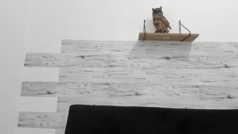 Jaycreedd online show from 11-28-25, 04:53