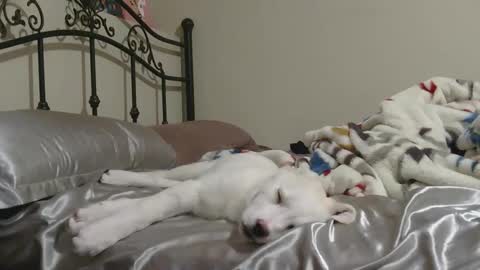 Snapshot of jcslayer88 chatting on 02-02-26, 07:51 Jack online show from 02-02-26, 07:51