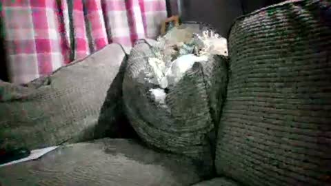 Matt online show from 07-25-26, 10:07