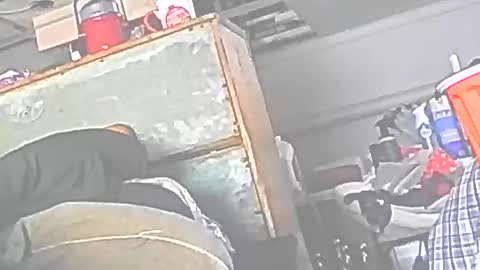 Snapshot of jedishy925585 chatting on 12-16-25, 06:24 jedishy925585 online show from 12-16-25, 06:24