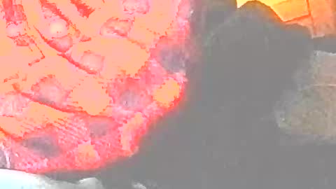 Snapshot of jedishy925585 chatting on 12-17-25, 09:04 jedishy925585 online show from 12-17-25, 09:04