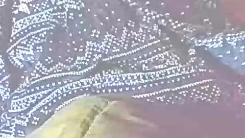 Snapshot of jedishy925585 chatting on 12-22-25, 07:16 jedishy925585 online show from 12-22-25, 07:16