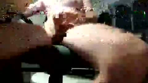jedogacb online show from 07-13-26, 10:34