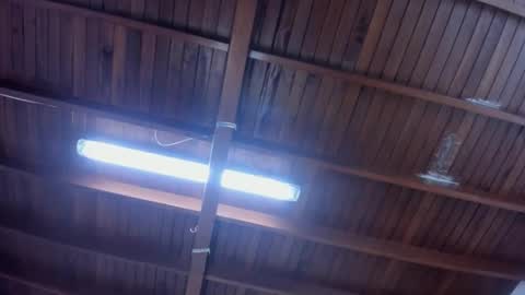 jeicob gagnon online show from 01-30-25, 04:24