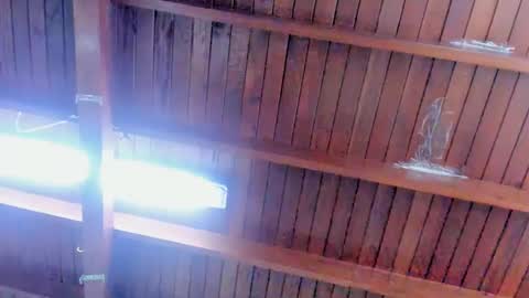 jeicob gagnon online show from 02-12-25, 04:00