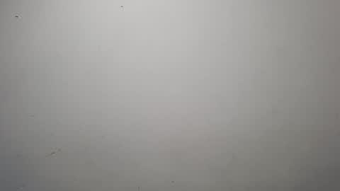 Snapshot of jeisonhoz chatting on 10-13-25, 01:49 jeisonfit online show from 10-13-25, 01:49