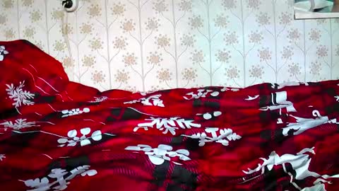 Snapshot of jellykulli chatting on 12-31-24, 09:31 jellykulli online show from 12-31-24, 09:31