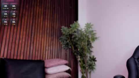     online show from 11-29-25, 01:36