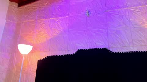  Jenny  online show from 03-26-26, 11:16