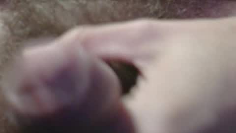 Snapshot of jerkingtyce chatting on 05-03-26, 03:12 jerkingtyce online show from 05-03-26, 03:12