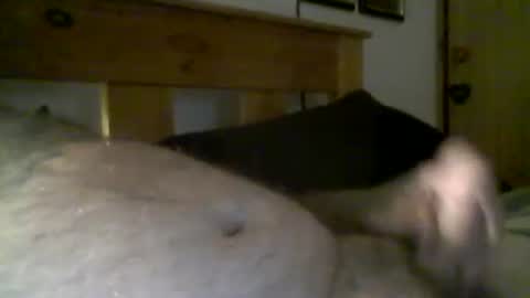 jerkmate6666 online show from 03-16-26, 08:18