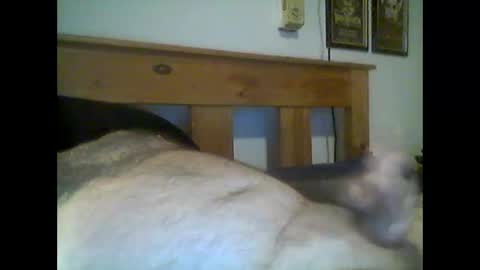jerkmate6666 online show from 05-15-26, 12:50
