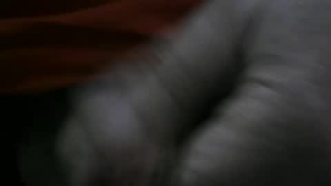 Snapshot of jerom111111111 chatting on 01-02-25, 02:24 jerom111111111 online show from 01-02-25, 02:24