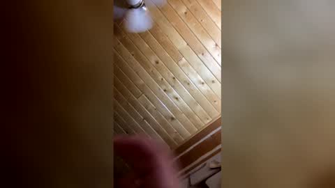 jessicajames0101 online show from 05-29-26, 10:57