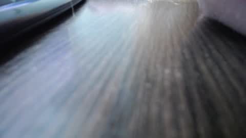 Jess online show from 12-07-24, 10:34