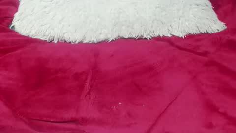 jessy online show from 11-25-25, 12:43