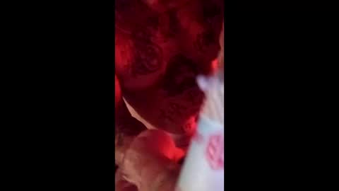 jetjon762844 online show from 04-11-26, 06:51