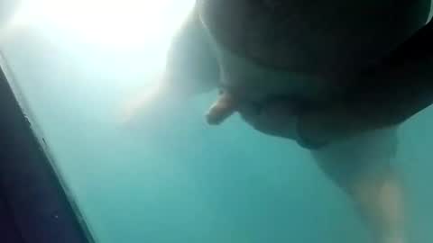 Uncut thick 5 online show from 03-20-26, 11:59