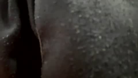 jhosuamoore2 online show from 07-28-26, 11:58