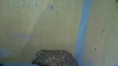 jillian_fuckdoll online show from 12-22-25, 02:58