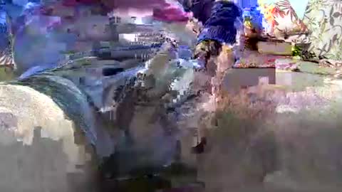 jimii281 online show from 01-12-26, 09:53