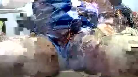 jimii281 online show from 03-25-26, 08:15