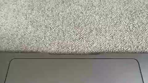 jisterz2 online show from 07-27-26, 04:47