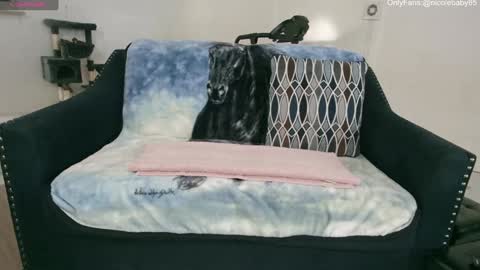 Nicole  Allen online show from 01-01-25, 10:24