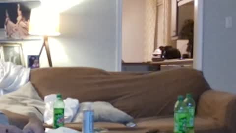 jkelly92081bean online show from 10-05-25, 10:24