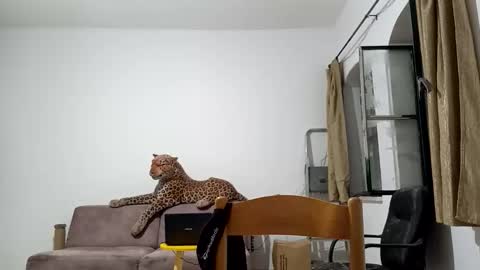 jlmbud online show from 10-20-25, 12:33