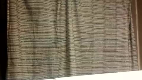 Snapshot of jmartel92 chatting on 11-05-25, 03:39 jmartel92 online show from 11-05-25, 03:39