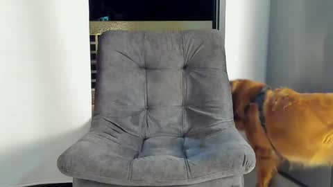 JOAN SAENZ online show from 01-09-25, 03:47