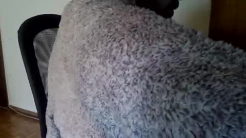 Snapshot of joaodias_18 chatting on 12-13-24, 02:16 joaodias_18 online show from 12-13-24, 02:16