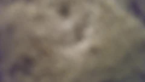 Snapshot of joemomma612 chatting on 10-14-25, 03:40 joemomma612 online show from 10-14-25, 03:40