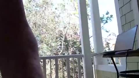 Snapshot of joesmithward chatting on 02-08-26, 05:27 joesmithward online show from 02-08-26, 05:27