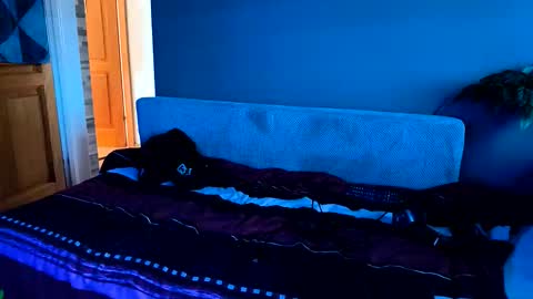 - Quantum - online show from 11-20-25, 07:41