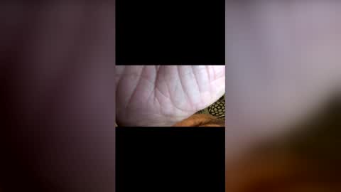 john091254 online show from 04-26-26, 02:53