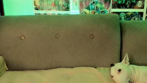 John carrie    Independent  Help me reach my goal 100 likes and 10000 followers  online show from 09-28-25, 04:18