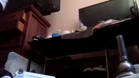 johnnyleos online show from 06-16-26, 08:00
