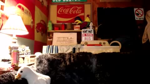 Johston online show from 07-27-26, 01:34