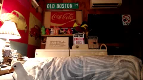 Johston online show from 08-04-26, 04:04