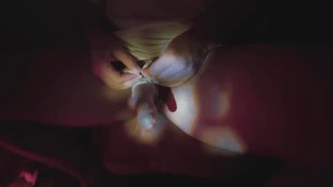 Snapshot of jonahshyfap chatting on 01-09-25, 02:22 jonahshyfap online show from 01-09-25, 02:22