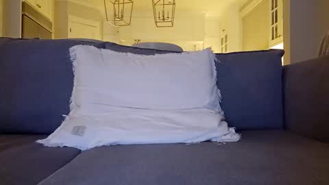 Snapshot of jonesy420xoo chatting on 12-20-24, 01:58 jonesy420xoo online show from 12-20-24, 01:58