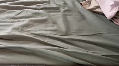 Snapshot of jonnymaximo chatting on 03-13-26, 01:51 Maximo online show from 03-13-26, 01:51