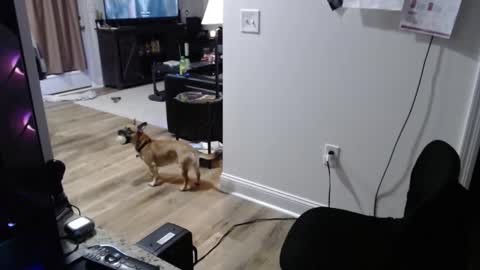 Josef online show from 01-15-26, 02:05