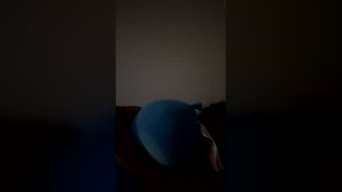 Snapshot of joshua_b11 chatting on 03-28-26, 06:46 joshua_b11 online show from 03-28-26, 06:46