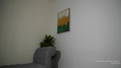 Joss  online show from 02-25-25, 03:16