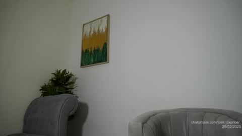 Joss  online show from 02-26-25, 06:32