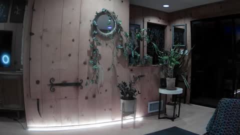 jroge21 online show from 02-16-25, 01:58