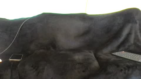 Snapshot of juanmamestre94 chatting on 10-07-25, 01:41 juanmamestre94 online show from 10-07-25, 01:41